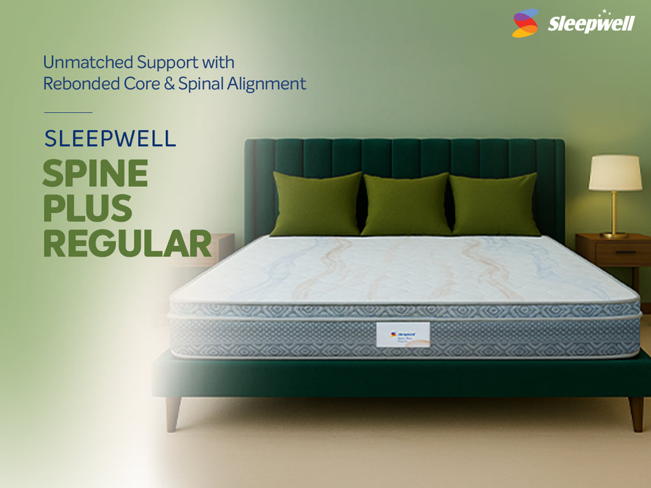 Spine Plus Regular