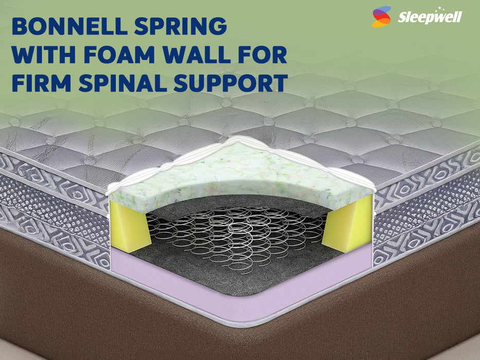 Spine Plus Regular